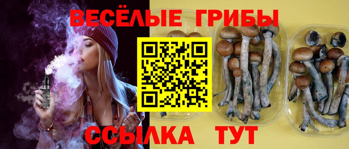 Псилоцибиновые грибы прущие грибы Фурманов