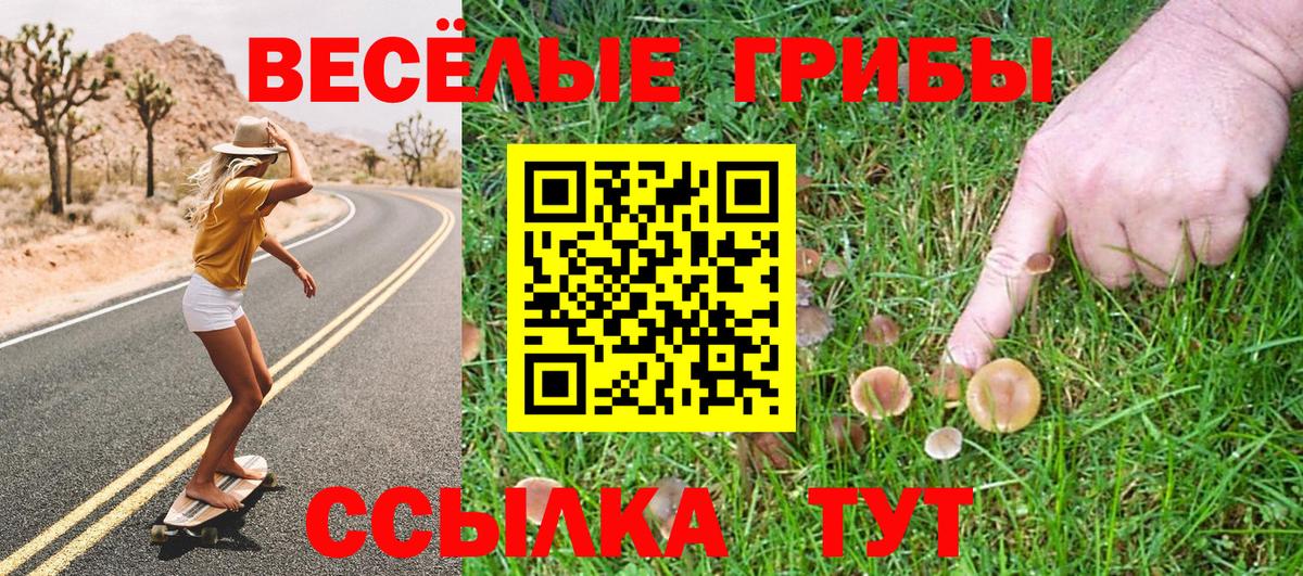 Псилоцибиновые грибы MAGIC MUSHROOMS  Вход с VPN  Фурманов  Галлюциногенные грибы прущие грибы 
